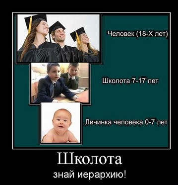 Школота, знай иерархию!